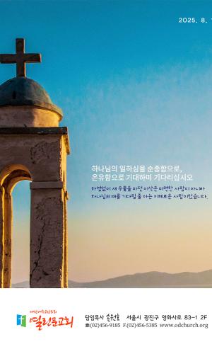 2025년 8월 17일 주보
