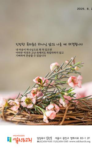 2025년 8월 24일 주보